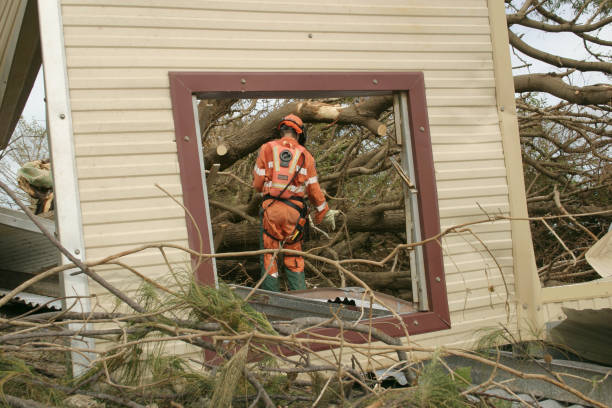 Best Tree Disease Treatment  in Farmersville, CA